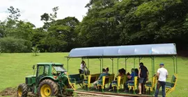 del Bosque | Alajuela (ili) - Rio Cuarto de Grecia