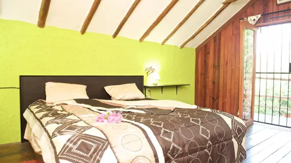 Casa Kiwi | Quintana Roo - Solidaridad - Playa del Carmen - Centro