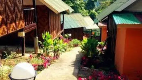 Phi Phi Jungle Hill Bungalow | Krabi İli - Ko Phi Phi