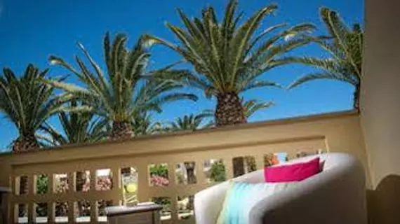 Drossia Palms Studios | Girit Adası - Kandiye (bölge) - Malia