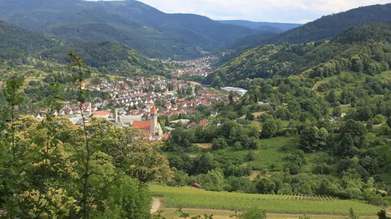 Romantiklandhaus Hazienda | Baden-Wuerttemberg - Gernsbach