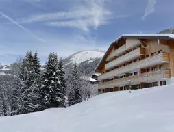 Résidence Néméa Le Grand Lodge | Auvergne-Rhone-Alpes - Haute-Savoie (bölge) - Chatel