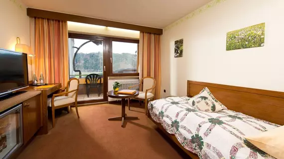 Schwarzwald-Hotel Silberkönig Ringhotel | Baden-Wuerttemberg - Gutach im Breisgau - Bleibach