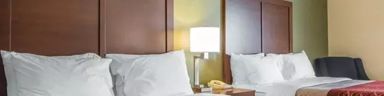 Comfort Inn | Kentucky - Lexington (ve civarı) - Winchester