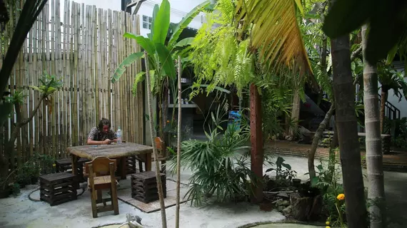 Freedom Hostel at Phi Phi | Krabi İli - Ko Phi Phi