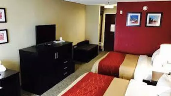 Comfort Inn & Suites Galleria | Georgia - Atlanta (ve civarı) - Smyrna