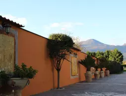 Villa Julia | Campania - Salerno (il) - Mount Vesuvius - Pompei (bölge) - Pompei