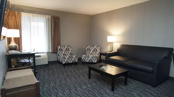 Clarion Inn and Suites Springfield | Missouri - Springfield (ve civarı) - Springfield