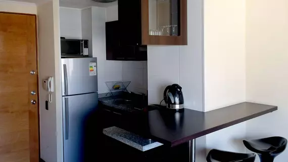 Santiago Furnished Apartments | Santiago - Santiago (ve civarı) - Santiago