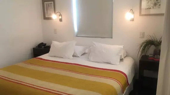 Meridiano Sur Petit Hotel | Santiago - Santiago (ve civarı) - Providencia