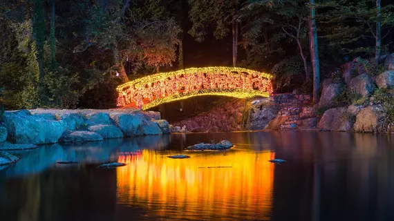 Neuraengigol | Güney Jeolla - Suncheon (ve civarı) - Gwangyang