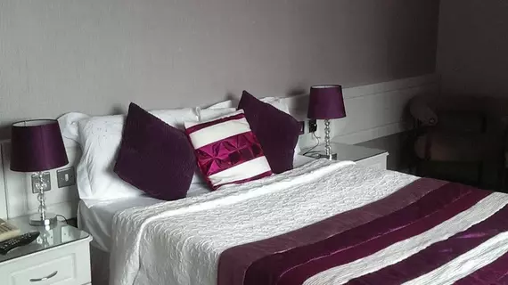 Ardree House B&B | Kerry (kontluk) - Killarney