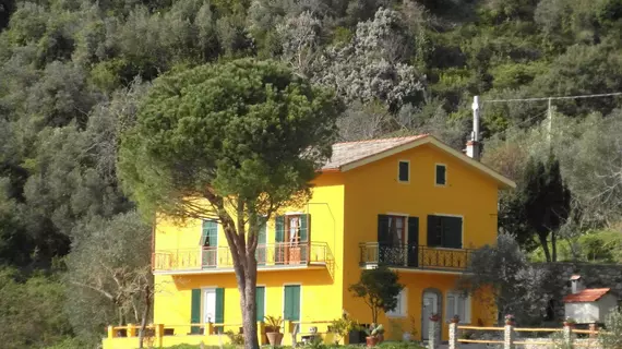 Agriturismo Costa di Campo | Liguria - La Spezia (il) - Vernazza