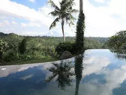 Taman Bebek Resort and Spa | Bali - Ubud - Sayan