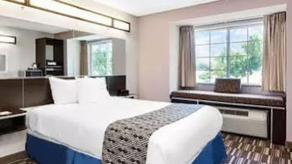 Microtel Inn & Suites by Wyndham Tuscaloosa | Alabama - Tuscaloosa (ve civarı) - Tuscaloosa