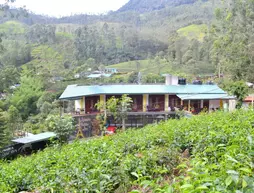 Grand Adams peak | Merkez Vilayet - Nuwara Eliya Bölgesi - Nallathanniya