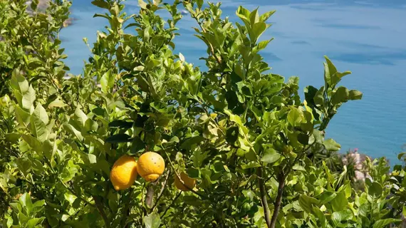 Le Terrazze Appartamenti Vacanze | Liguria - Imperia (il) - Sanremo