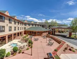 Holiday Inn Express Hotel & Suites Montrose - Townsend | Kolorado - Ouray County - Montrose (ve civarı) - Montrose