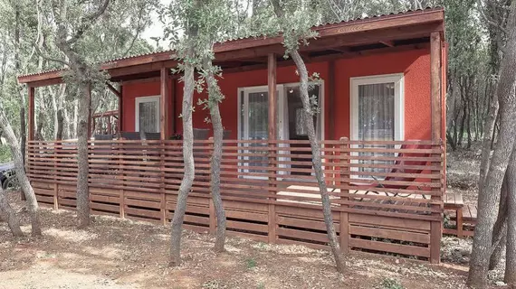 Camping San Polo mobile home | Istria (vilayeti) - Bale