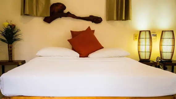 El Secreto Hotel | Quintana Roo - Solidaridad - Playa del Carmen - Centro