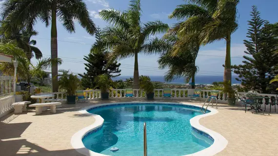 Chateau De La Rose - 1bdr Apartment | Saint James - Montego Körfezi (ve civarı) - Montego Bay