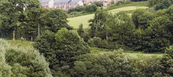 Les Chalets du Gua des Brasses | Occitanie - Herault (bölge) - Beziers (ve civarı) - La Salvetat-sur-Agout