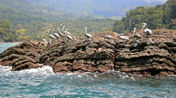 Cristal Ballena | San Jose (ili) - Dominical (ve civarı) - Ballena