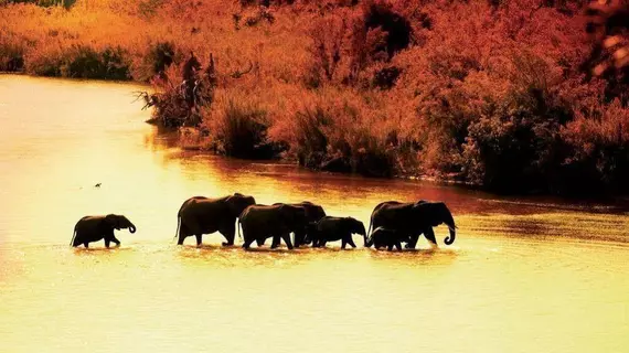 Lion Sands Kruger National Park | Mpumalanga - Mbombela - Kruger National Park