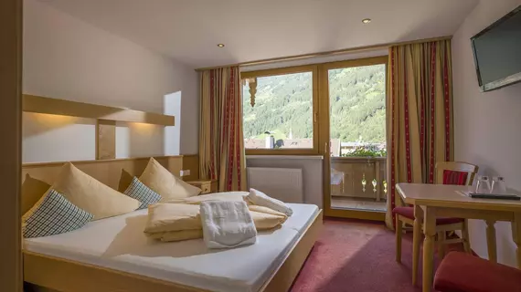 Hotel Gasthof Alpenhof | Tirol - Schwaz District - Schwaz (ve civarı) - Zell am Ziller