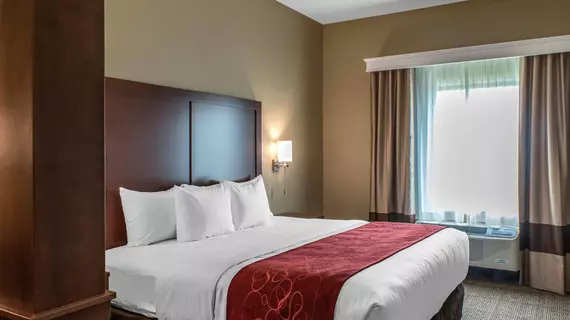 Comfort Suites Billings | Montana - Billings (ve civarı) - Billings