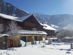 Haus Katharina | Salzburg (eyalet) - Sankt Johann im Pongau - Bad Hofgastein