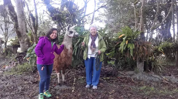 Las Orquídeas | Tungurahua - Banos