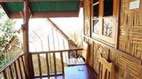 Phi Phi Jungle Hill Bungalow | Krabi İli - Ko Phi Phi