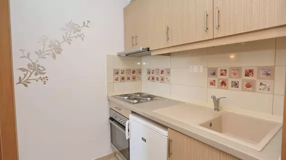 Hotel Apartment Kastoria | Doğu Makedonya ve Trakya - Kassandra