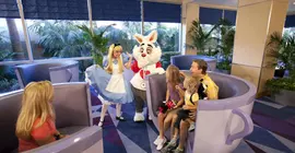 Disneyland | Kaliforniya - Orange County - Anaheim - Anaheim Resort