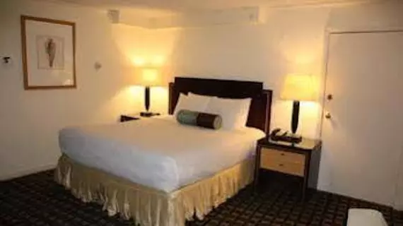 Bedford Plaza Hotel | Massachusetts - Boston (ve civarı) - Bedford