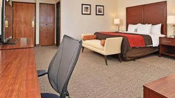 Comfort Inn & Suites Denver | Kolorado - Denver (ve civarı) - Denver - Northeast Park Hill