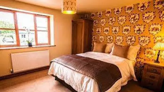 Big Bear Lodge | Galler - Powys - Oswestry