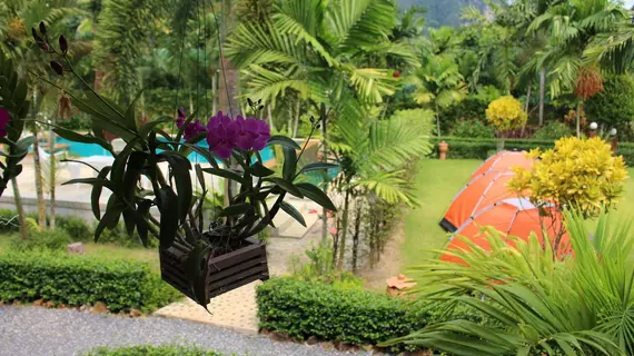 Aonang Bunk Resort | Krabi İli - Krabi