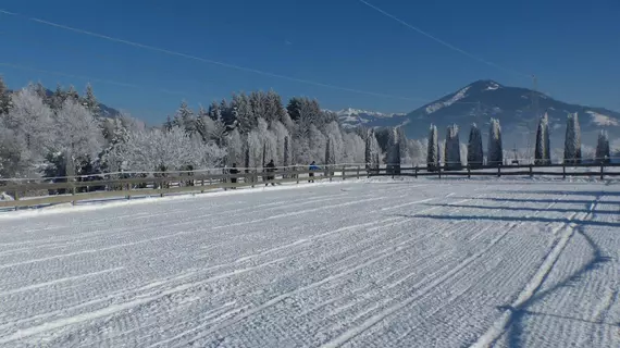 Land-Hotel Gut Edelweiss | Salzburg (eyalet) - Zell am See - Kaprun