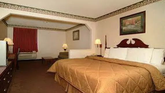 Comfort Inn Pine Bluff | Arkansas - Pine Bluff (ve civarı) - Pine Bluff