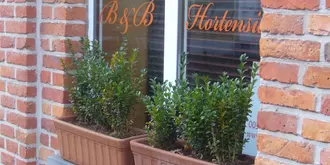 B&B Hortensia