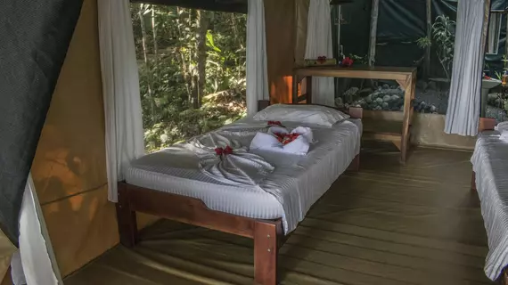 La Leona Eco Lodge | Puntarenas (ili) - Puerto Jimenez