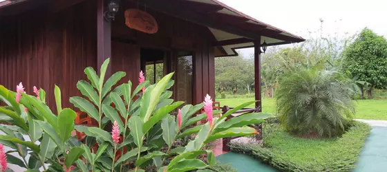 Arenal Montechiari Hotel | Alajuela (ili) - San Carlos (kantonu) - La Fortuna