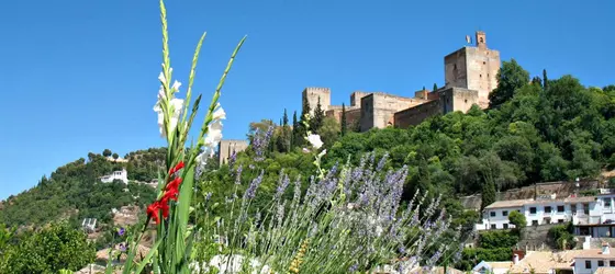 Apartamentos Muralla Zirí | Andalucia - Granada (il) - Granada - Albaicín