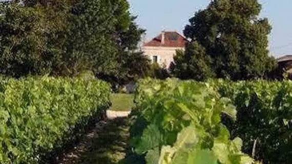 Domaine de Quittignan Brillette | Nouvelle-Aquitaine - Gironde (bölge) - Moulis-en-Medoc