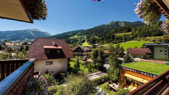 Hotel Alpina | Salzburg (eyalet) - Sankt Johann im Pongau - Bad Hofgastein