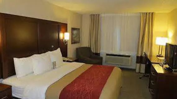 COMFORT INN NORTH - AIR FORCE ACADEMY AREA | Kolorado - Colorado Springs (ve civarı) - Colorado Springs - Pikeview