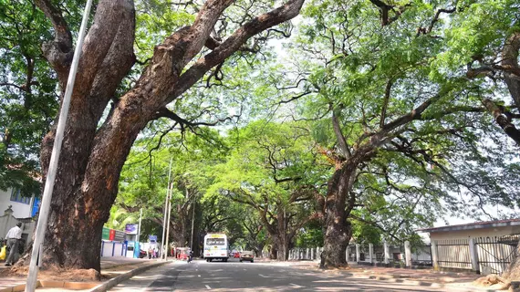 Colombo Villa at Cambridge Place | Colombo Bölgesi - Colombo - Cinnamon Gardens