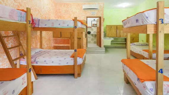 Amigos Hostel Cozumel | Quintana Roo - Cozumel